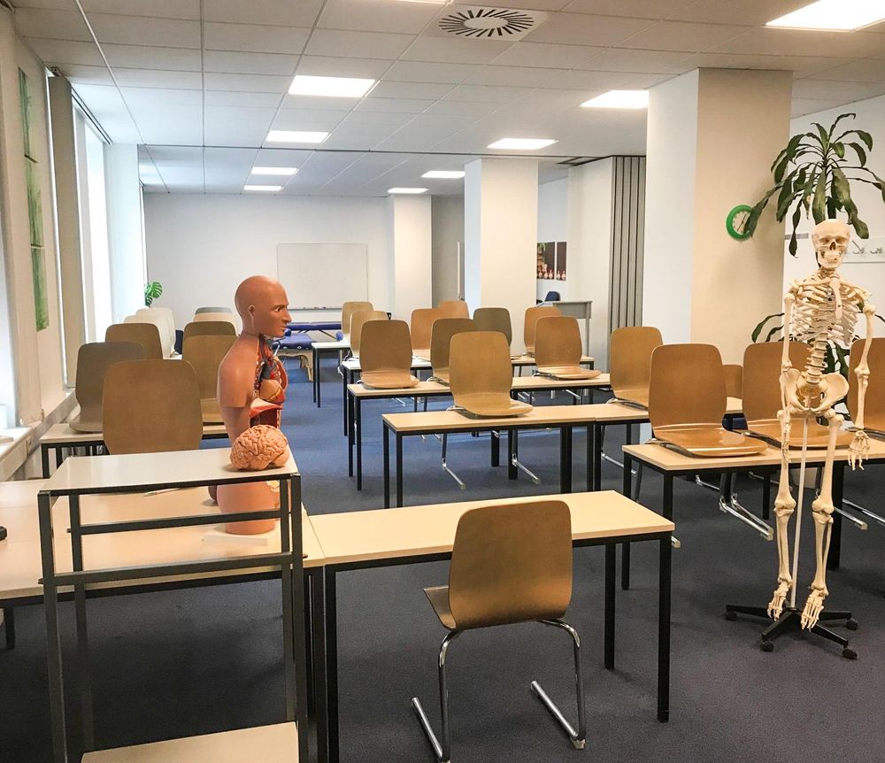 Paracelsus Heilpraktikerschule Hannover