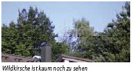 2013-04-Leserbrief1