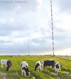 © aotearoa - Fotolia.com