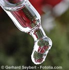 © Gerhard Seybert - Fotolia.com