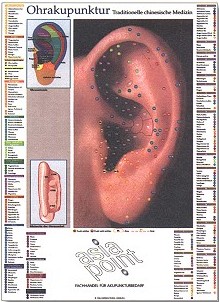 Ohrakupunkturkarte