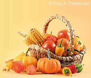 © Foxy_A - Fotolia.com