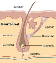 2010-01-Schoenheit2