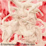 © fotoliaxrender - Fotolia.com