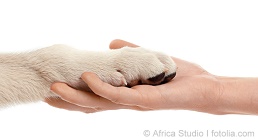 © Africa Studio I fotolia.com