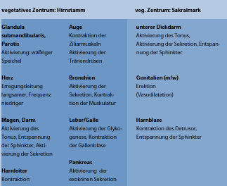 Die Funktionen des vegetativen Nervensystems, Steuerung durch übergeordnete Zentren (Hypothalamus u.a.), Parasympathischer Teil (Acetylcholin)