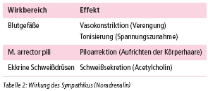 2014-02-Kinesiologie3