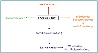 2014-06-Arginin2