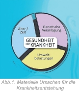 Abb. 1: Materielle Ursachen für die Krankheitsentstehung