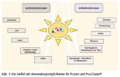 Die Vielfalt der Anwendungsmöglichkeiten für Procain und ProcCluster®