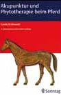 2011-03-Buch2