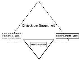 2013-01-Fahrrad1