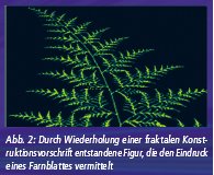 Abb. 2: Durch Wiederholung einer fraktalen Konstruktionsvorschrift entstandene Figur, die den Eindruck eines Farnblattes vermittelt