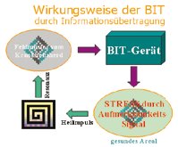 Wirkungsweise der endogenen BIT