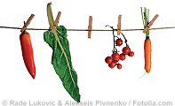 Fotos: ©Rade Lukovic & ©Aleksejs Pivnenko- Fotolia.com