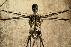 Anatomie