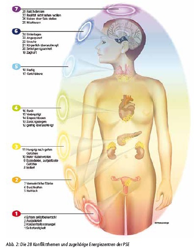 Die 28 Konfliktthemen und zugehörige Energiezentren der PSE