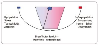 2011-06-Stoerfeld2