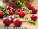 © Printemps - Fotolia.com