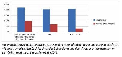 2012-06-Rhodiola3