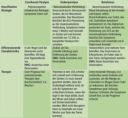 2010-02-Uebertragung2