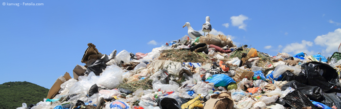 Die große Plastik-Seuche