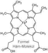 Formel Häm-Molekü